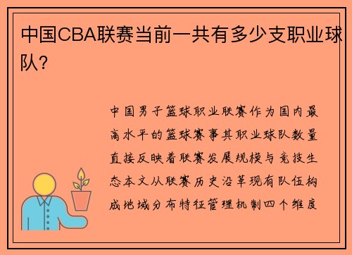 中国CBA联赛当前一共有多少支职业球队？